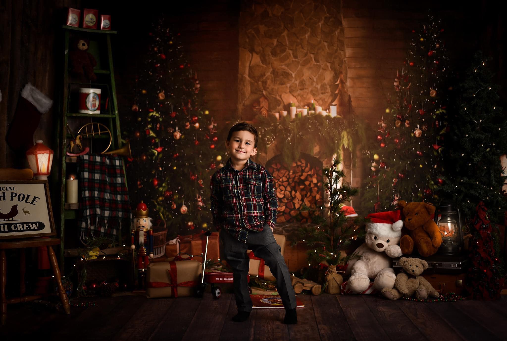 Kate Christmas Tree Fireplace Room Backdrop for Photography - Image 6
