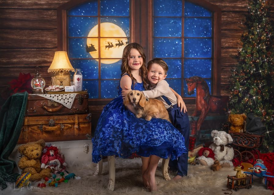 Kate Christmas Tree Santa Window Backdrop for Photography Designed by Lisa Granden - Image 3