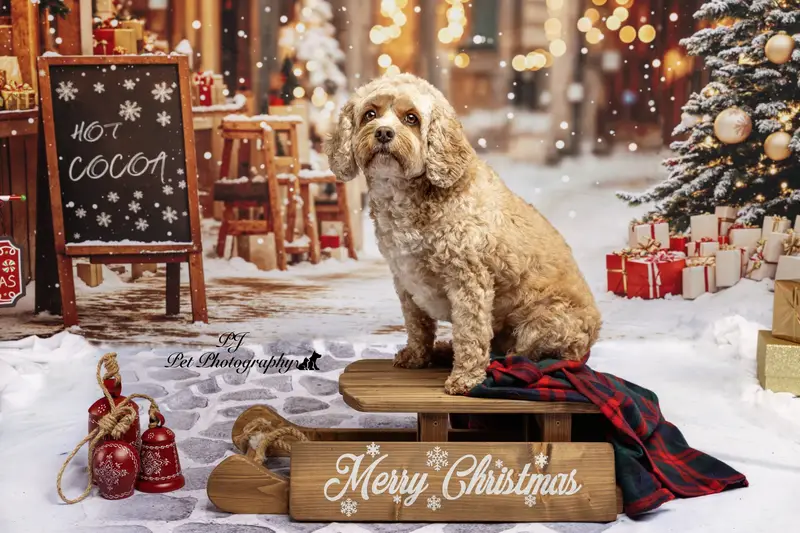 Kate Christmas Tree Street Hot Cocoa Shop Backdrop Designed by Emetselch - Image 6