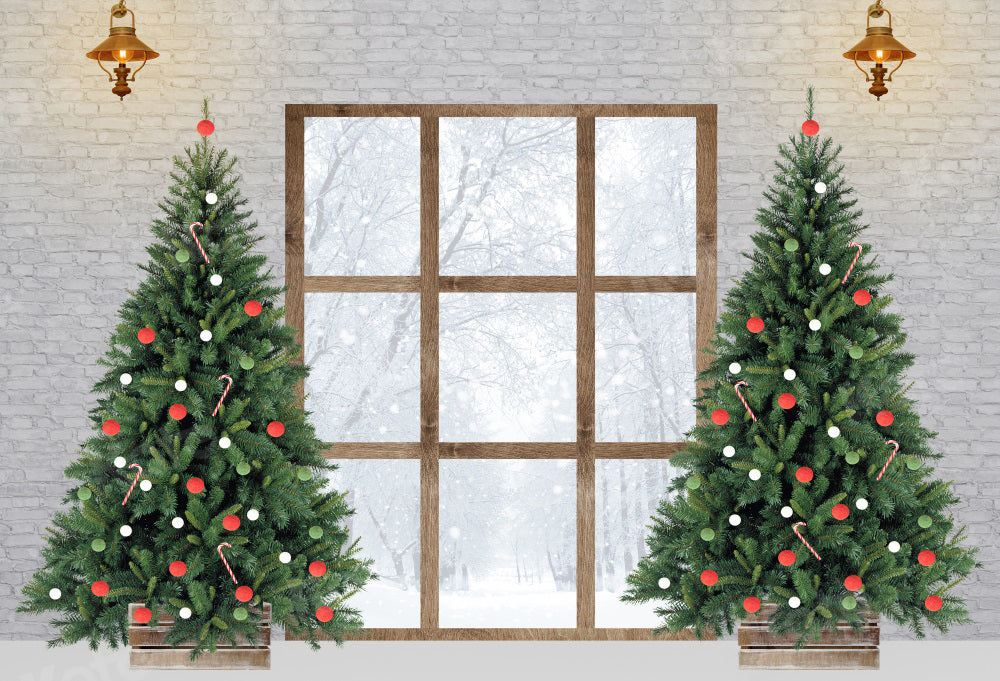 Kate Christmas Tree Window Winter Backdrop for Photography