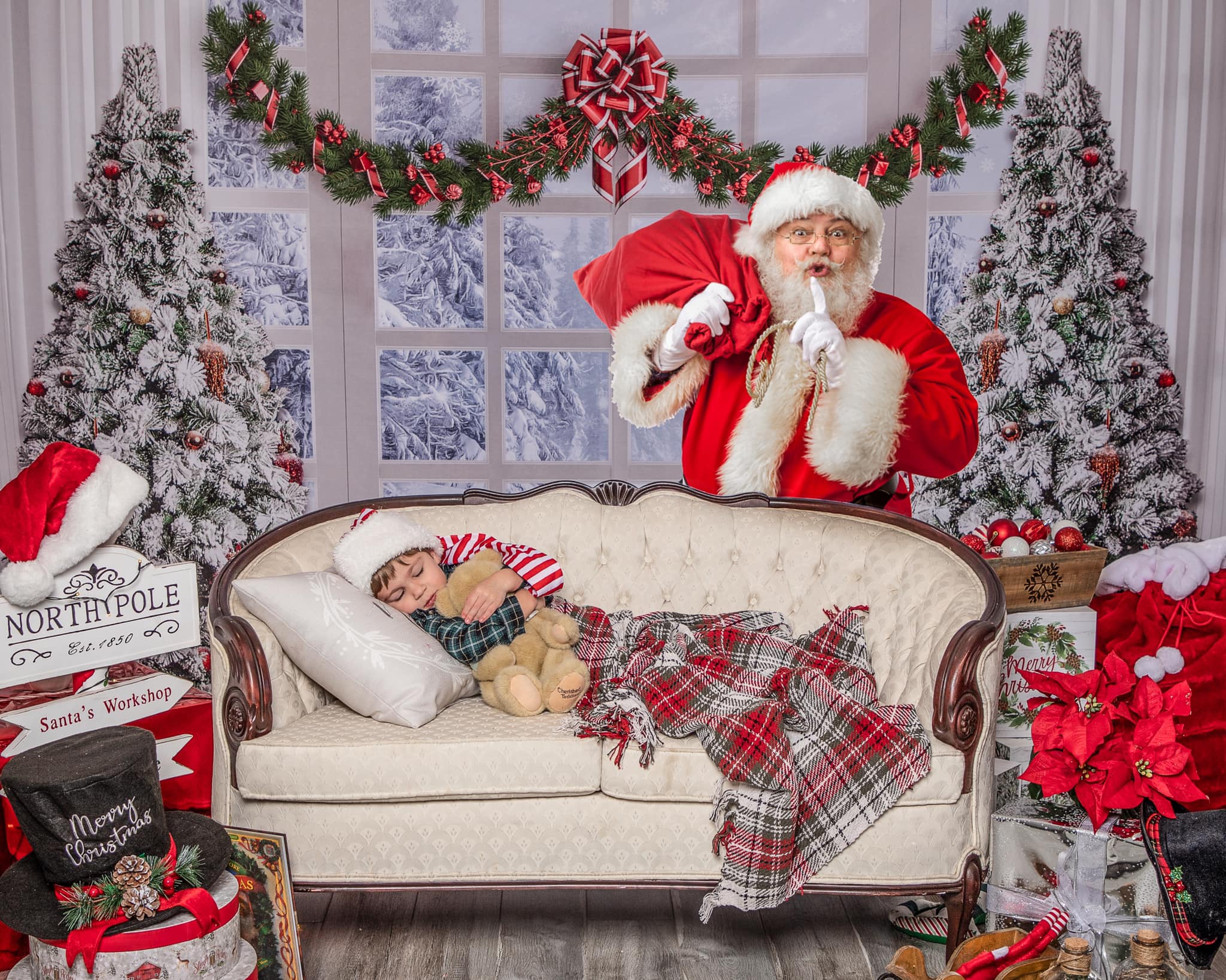 Kate Christmas Tree Winter White Window Backdrop Designed by Chain Photography