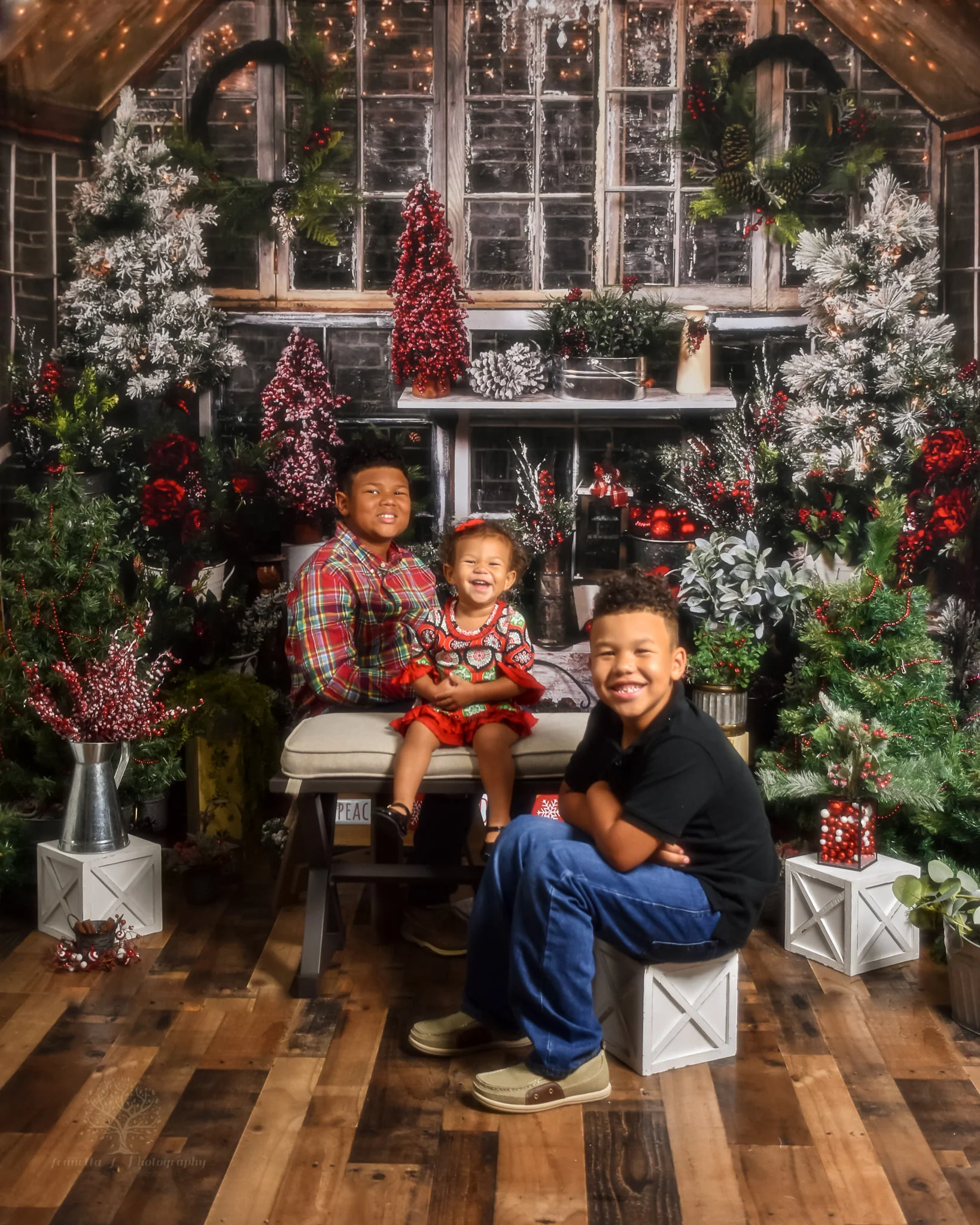 Kate Christmas Tree Wood House Winter Backdrops Designed by Arica Kirby - Image 3