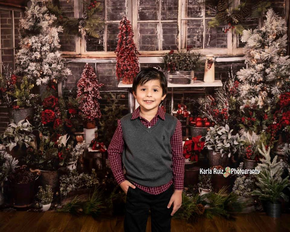 Kate Christmas Tree Wood House Winter Backdrops Designed by Arica Kirby - Image 6