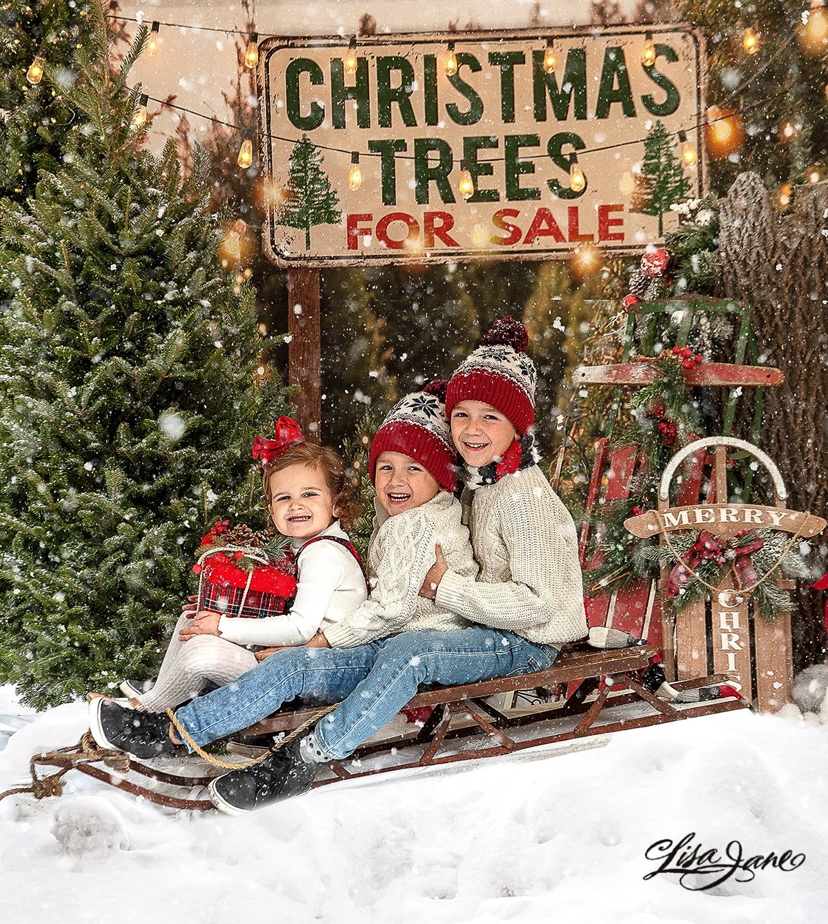 Kate Christmas Trees Backdrop for Photography Designed By JS Photography - Image 3
