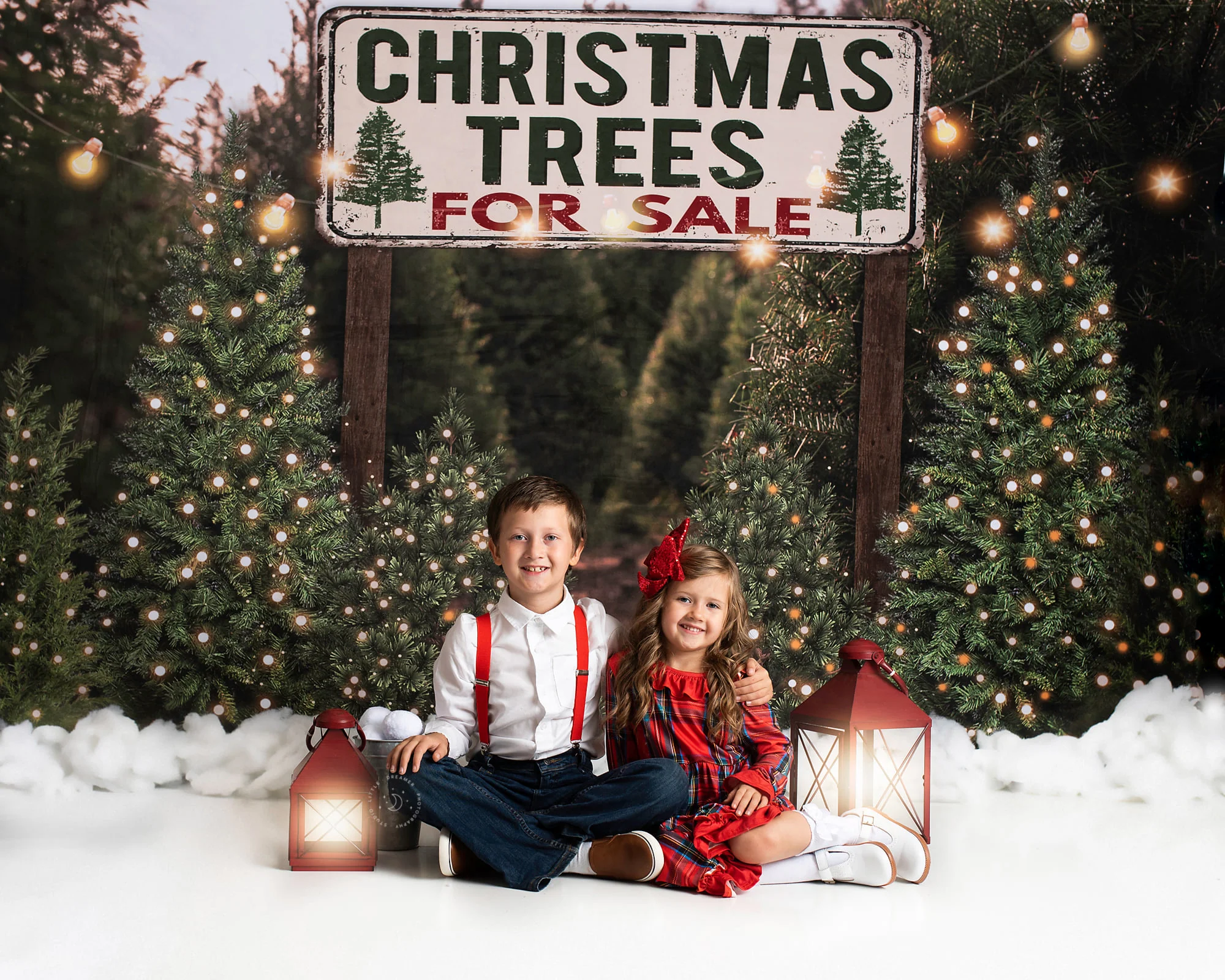 Kate Christmas Trees Backdrop for Photography Designed By JS Photography - Image 4