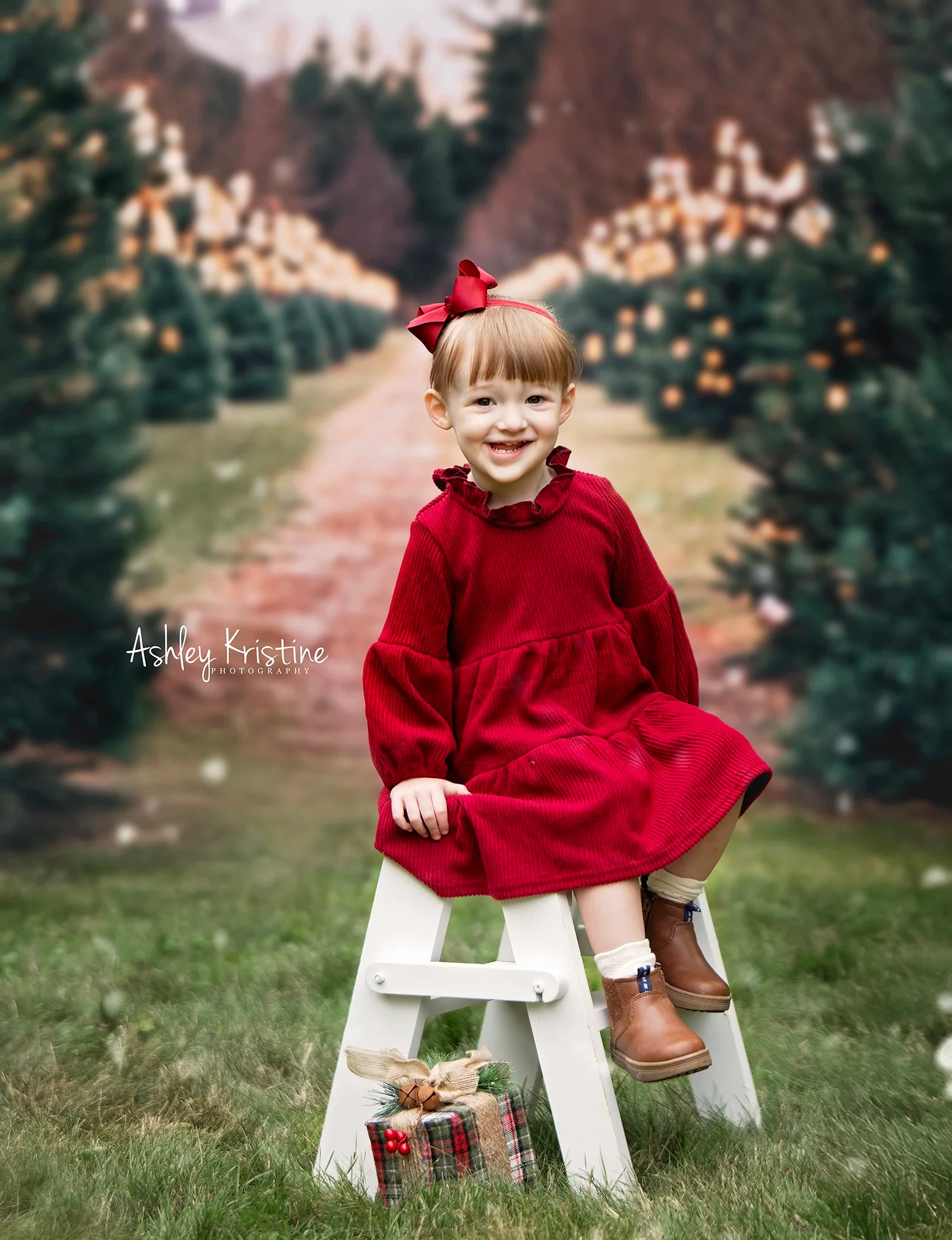 Kate Christmas Trees Farm Road Backdrop Designed by Emetselch - Image 3
