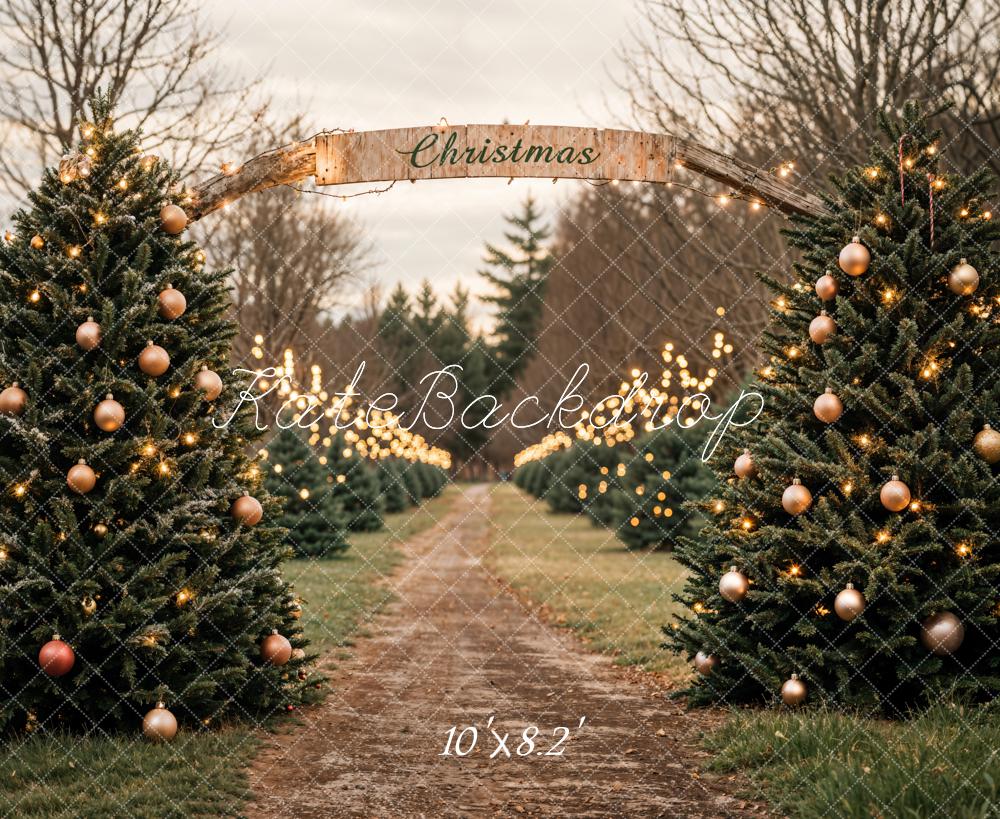 Kate Christmas Trees Farm Road Backdrop Designed by Emetselch - Image 7