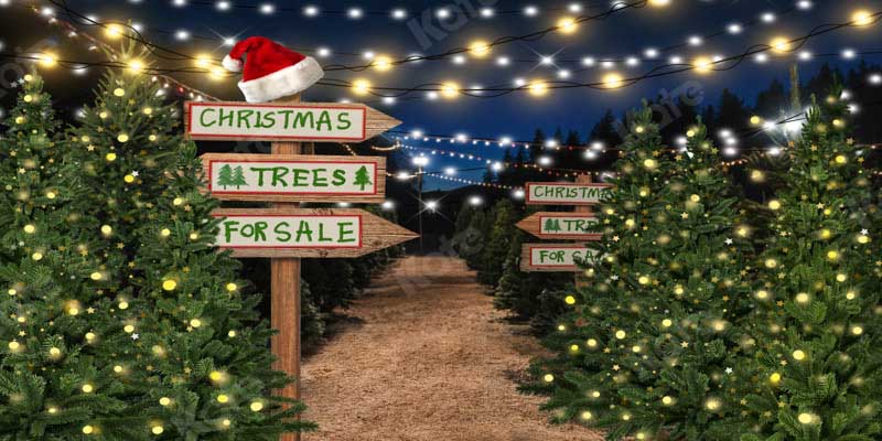 Kate Christmas Trees Filed Night Backdrop Designed by Emetselch - Image 3
