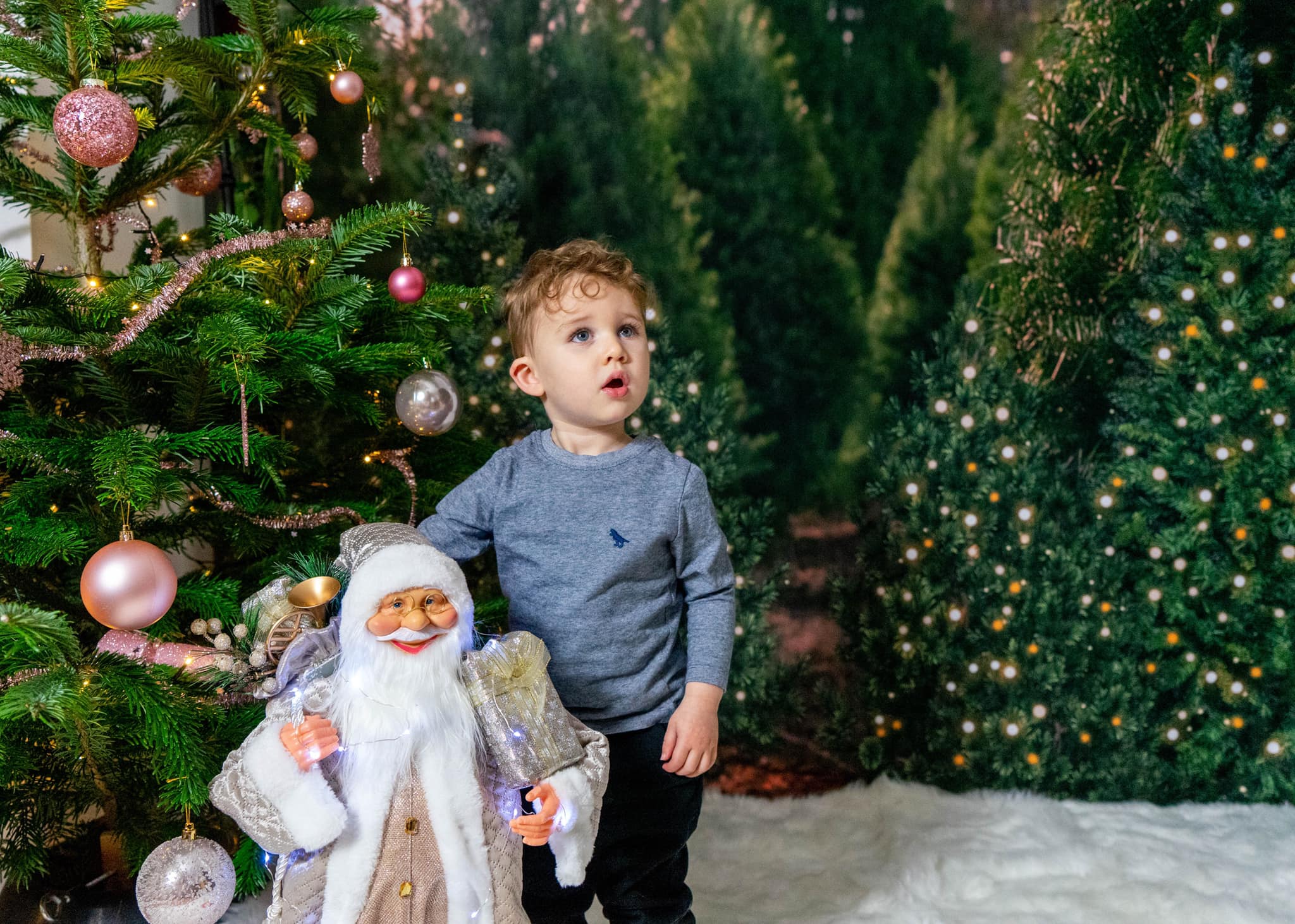 Kate Christmas Trees Forest Backdrop for Photography - Image 3