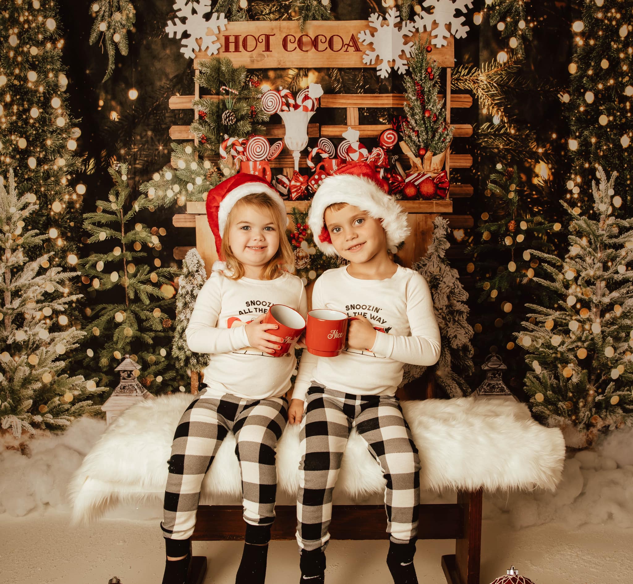 Kate Christmas Trees Hot Cocoa Night Backdrop Designed by Emetselch