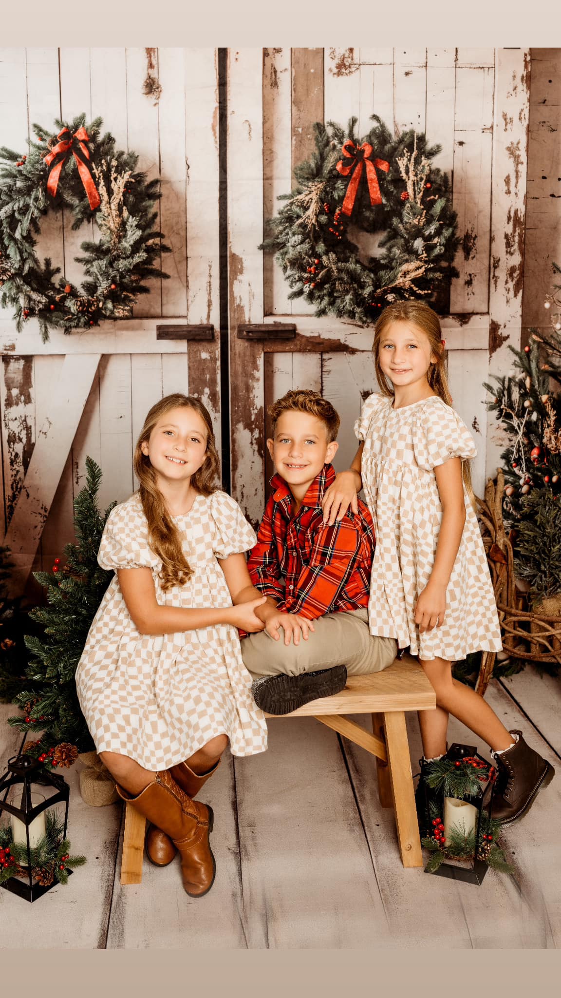 Kate Christmas White Shabby Barn Door Backdrop Designed by Emetselch - Image 11