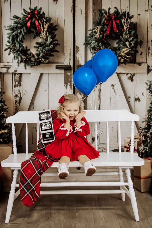 Kate Christmas White Shabby Barn Door Backdrop Designed by Emetselch - Image 17