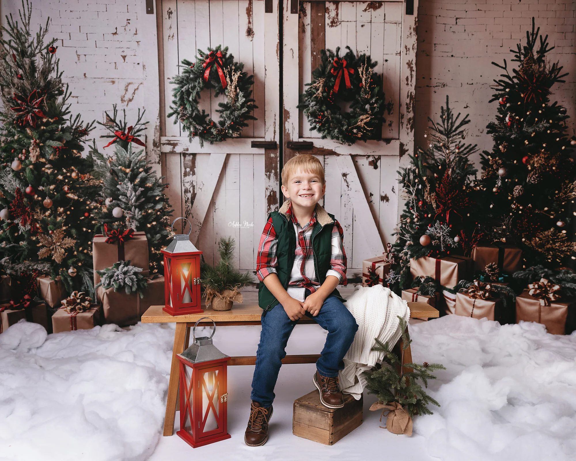 Kate Christmas White Shabby Barn Door Backdrop Designed by Emetselch - Image 5