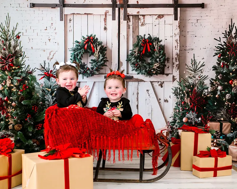 Kate Christmas White Shabby Barn Door Backdrop Designed by Emetselch - Image 6