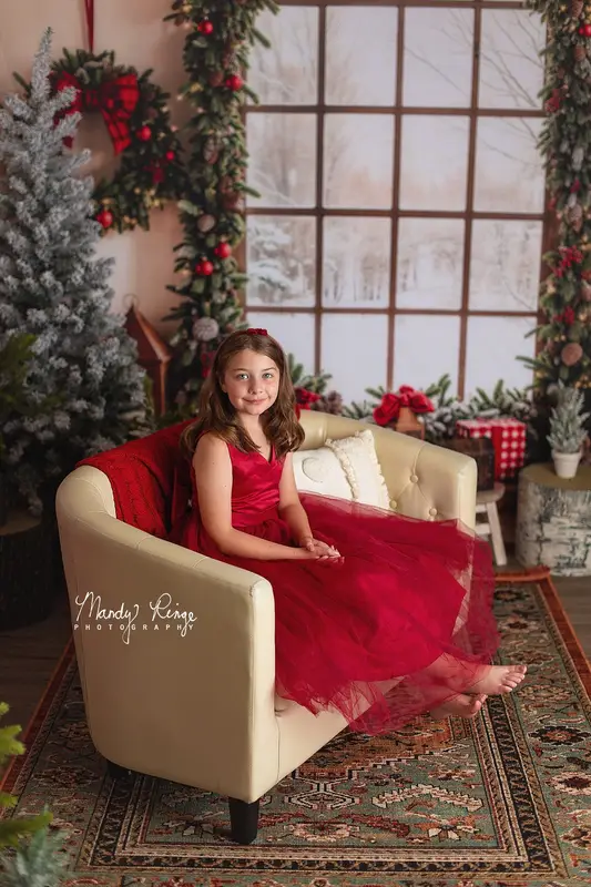Kate Christmas Window Garland Red Blanket Backdrop Designed by Emetselch - Image 5