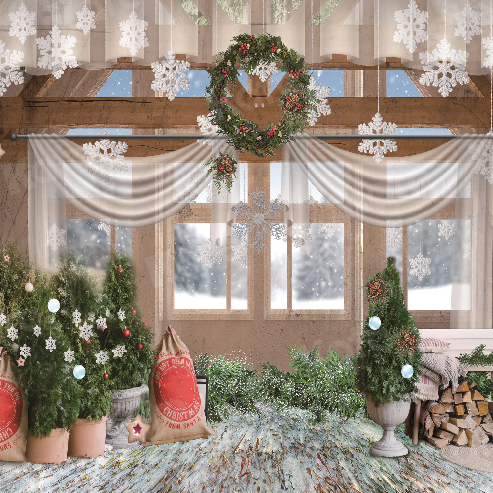 Kate Christmas Window Snow Backdrop for Photography - Image 2