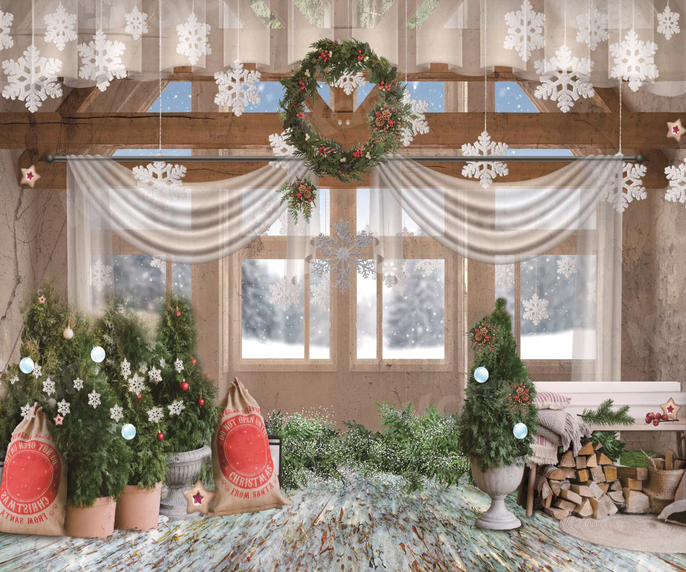Kate Christmas Window Snow Backdrop for Photography - Image 3