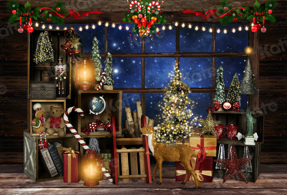 Kate Christmas Window Starry Vintage Backdrop for Photography - Image 2