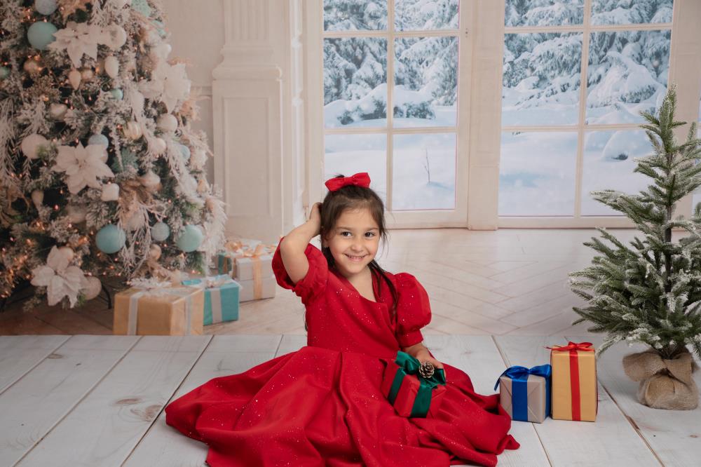 Kate Christmas Window White Winter Backdrop for Photography - Image 5