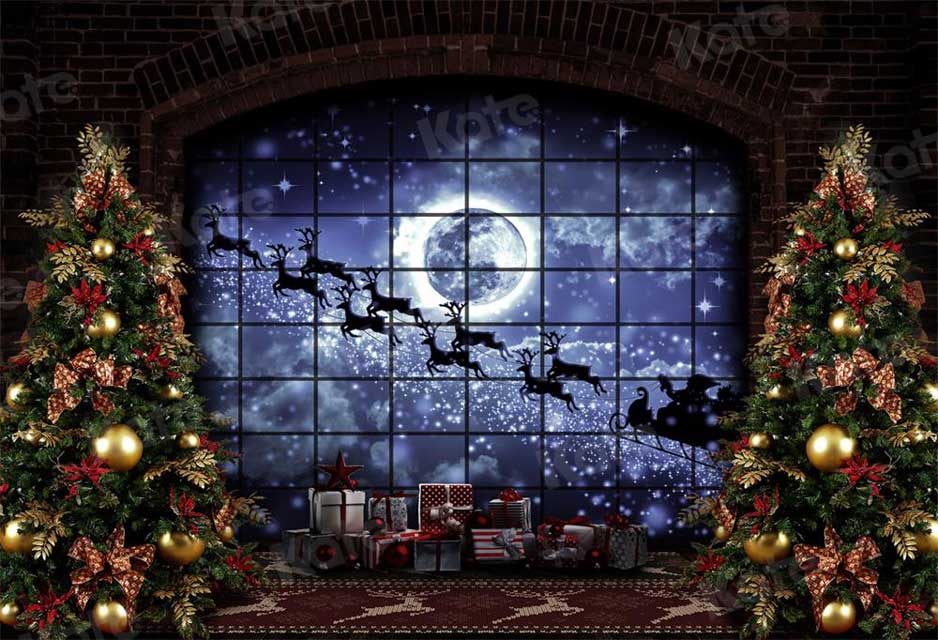Kate Christmas Windows Sleigh Backdrop Elk for Photography - Image 2