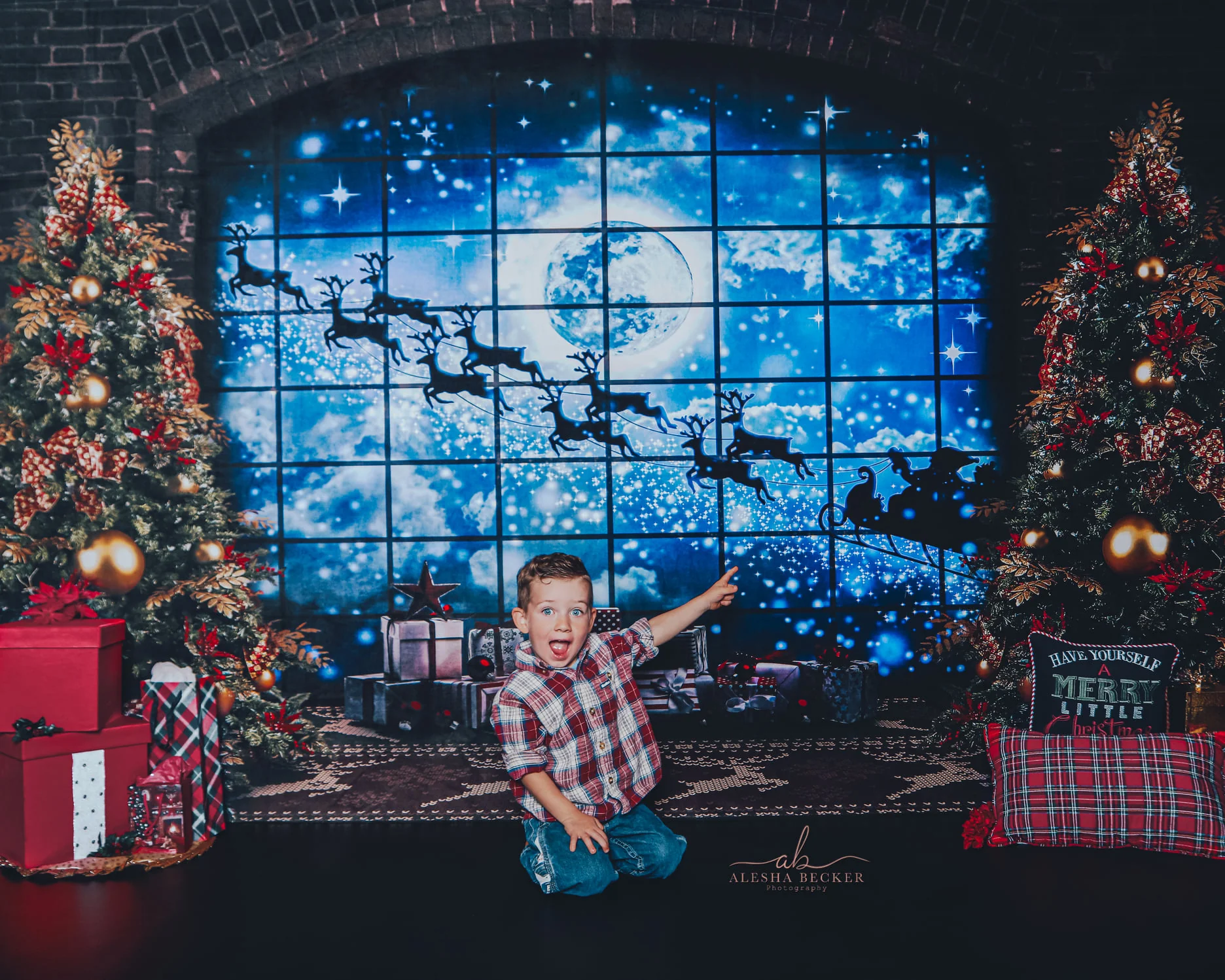 Kate Christmas Windows Sleigh Backdrop Elk for Photography - Image 3