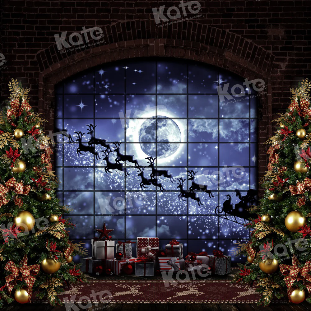 Kate Christmas Windows Sleigh Backdrop Elk for Photography - Image 4