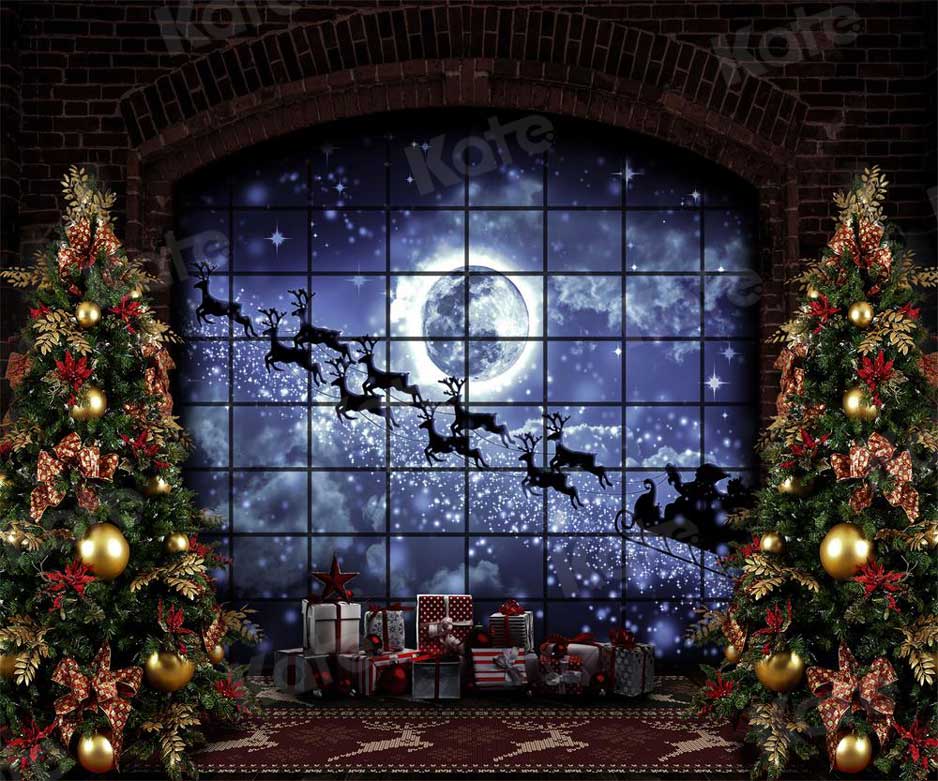 Kate Christmas Windows Sleigh Backdrop Elk for Photography - Image 5
