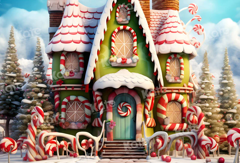 Kate Christmas Winter Amazing House Backdrop for Photography - Image 2