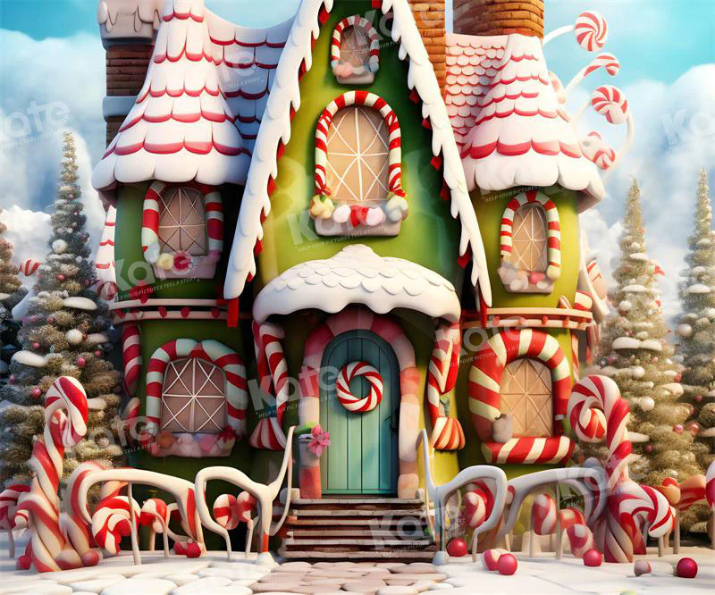 Kate Christmas Winter Amazing House Backdrop for Photography - Image 5