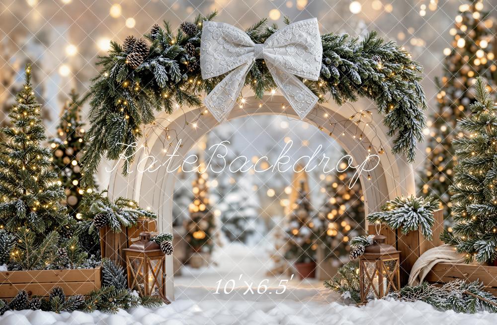 Kate Christmas Winter Arch Snowy Fleece Backdrop Designed by Emetselch - Image 2