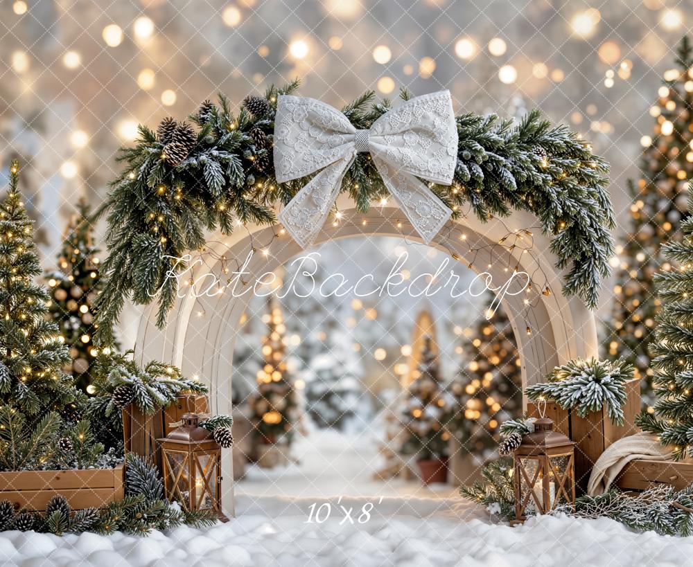 Kate Christmas Winter Arch Snowy Fleece Backdrop Designed by Emetselch - Image 3