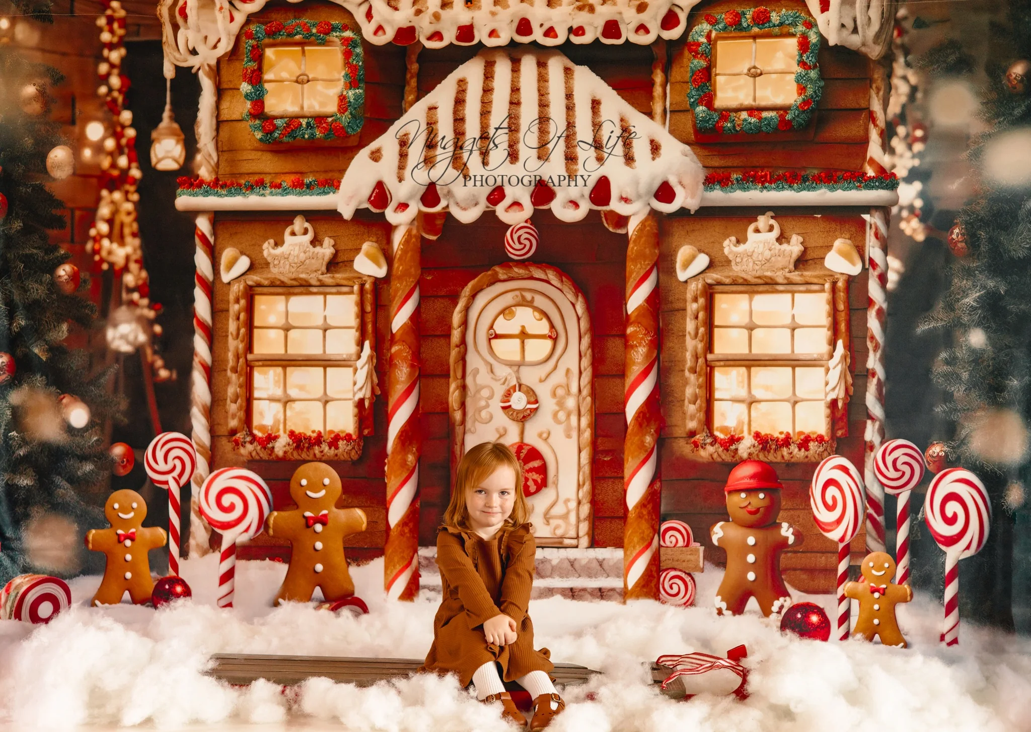 Kate Christmas Winter Gingerbread House Backdrop Designed by Chain Photography - Image 3