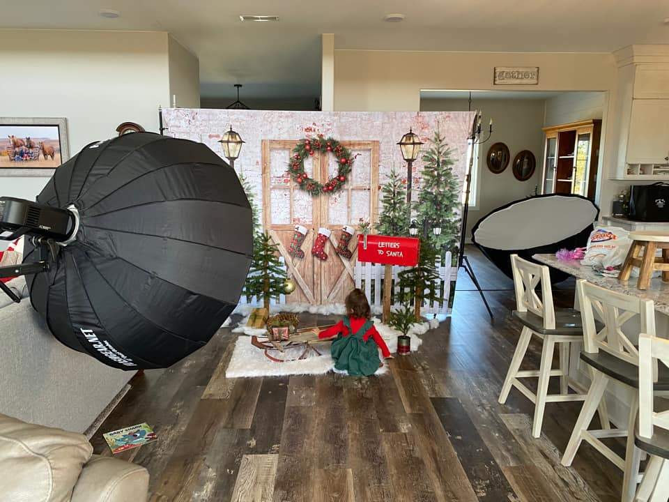 Kate Christmas Winter Snow Fence Door Backdrop Designed by Emetselch - Image 3