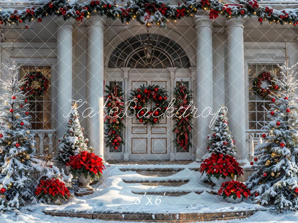 Kate Christmas Winter White Vintage House Backdrop Designed by Emetselch - Image 3