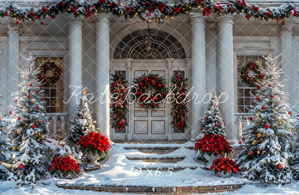 Kate Christmas Winter White Vintage House Backdrop Designed by Emetselch - Image 4