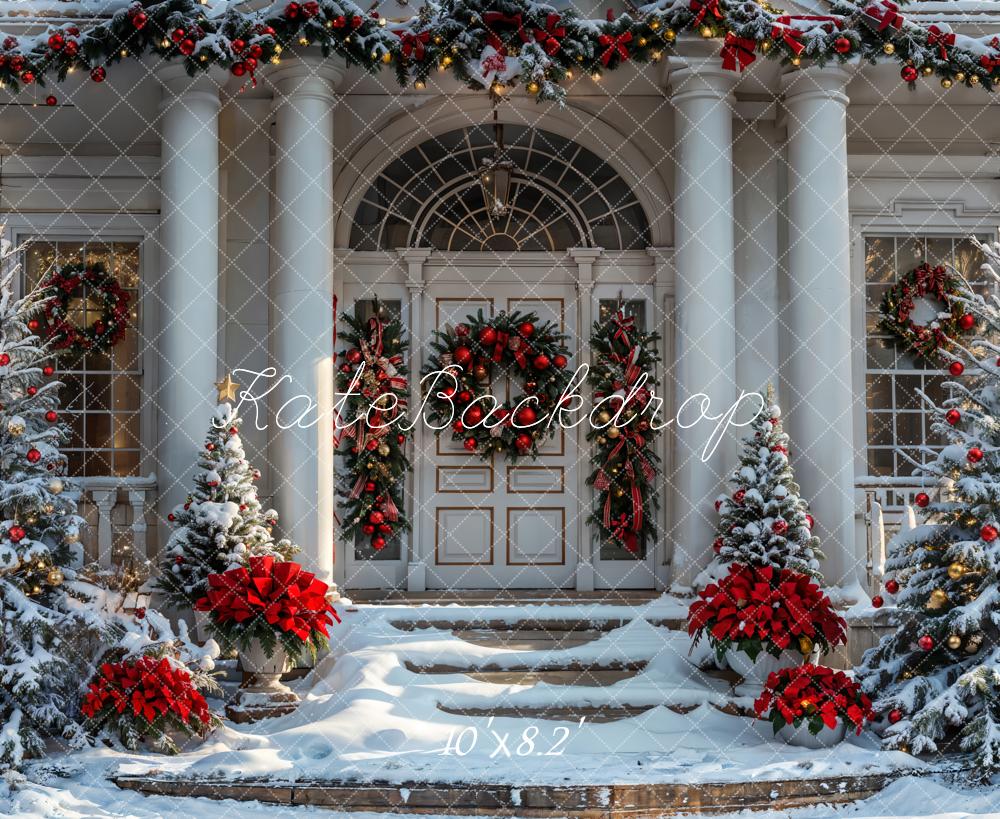 Kate Christmas Winter White Vintage House Backdrop Designed by Emetselch - Image 5