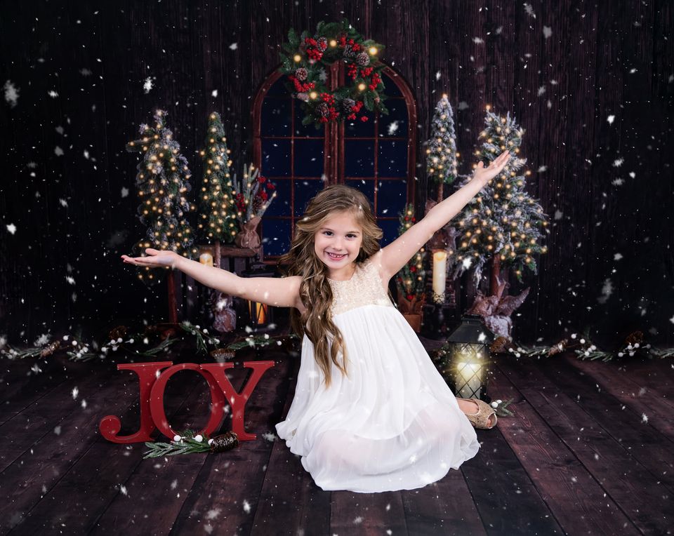 Kate Christmas Wood Room Backdrop Designed by Emetselch - Image 3