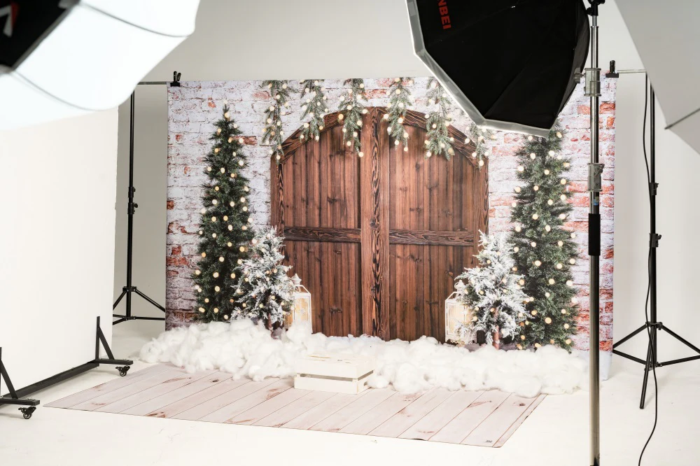 Kate Christmas Wooden Barn Door Backdrop Designed by Emetselch - Image 5