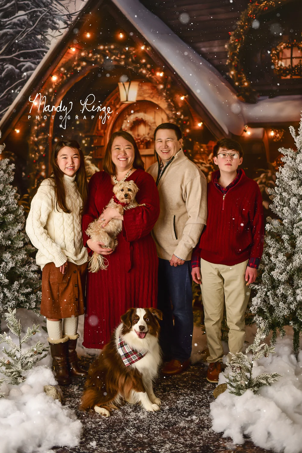 Kate Christmas Wooden House Backdrop Designed by Chain Photography - Image 6