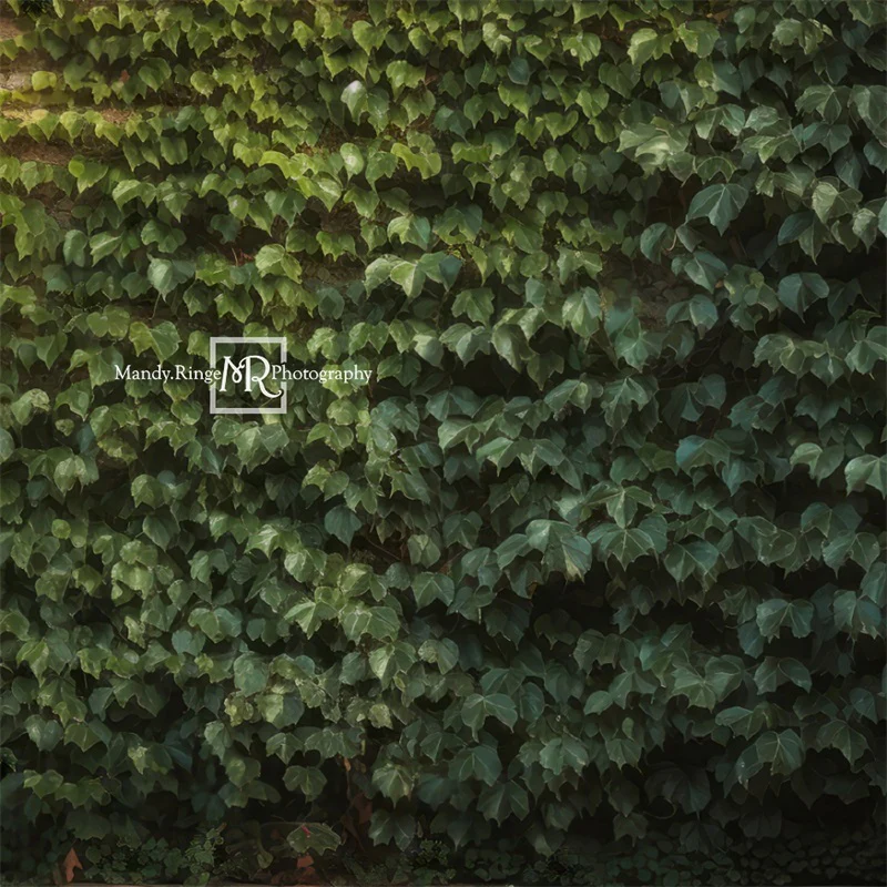 Kate Climbing Ivy Wall Plant Summer Backdrop Designed by Mandy Ringe Photography - Image 2