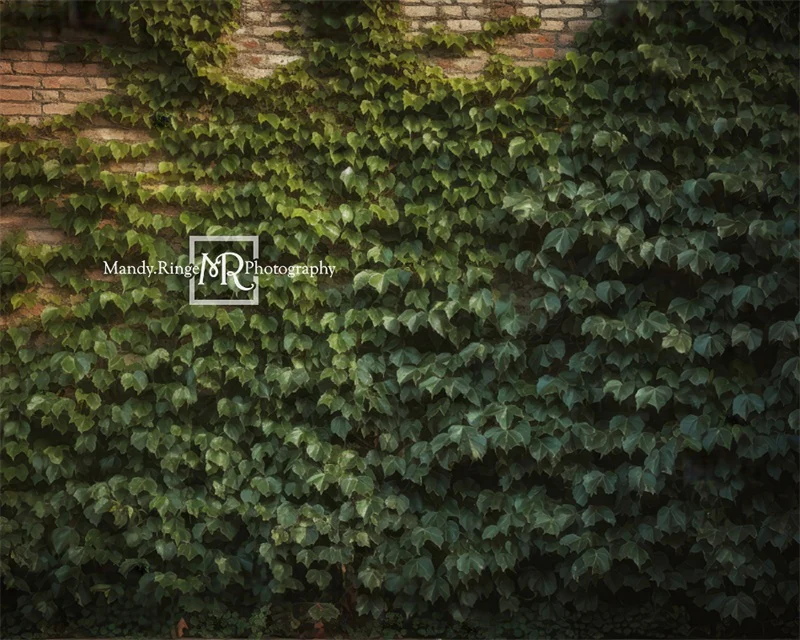 Kate Climbing Ivy Wall Plant Summer Backdrop Designed by Mandy Ringe Photography - Image 3
