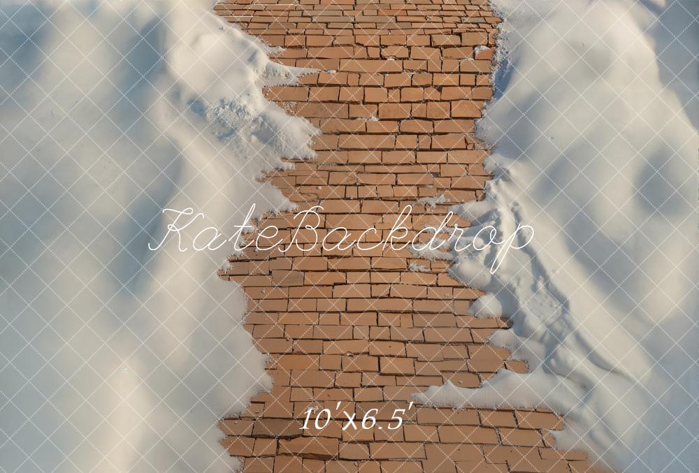 Kate Cobblestone Path Snow Fleece Backdrop Designed by Emetselch - Image 2