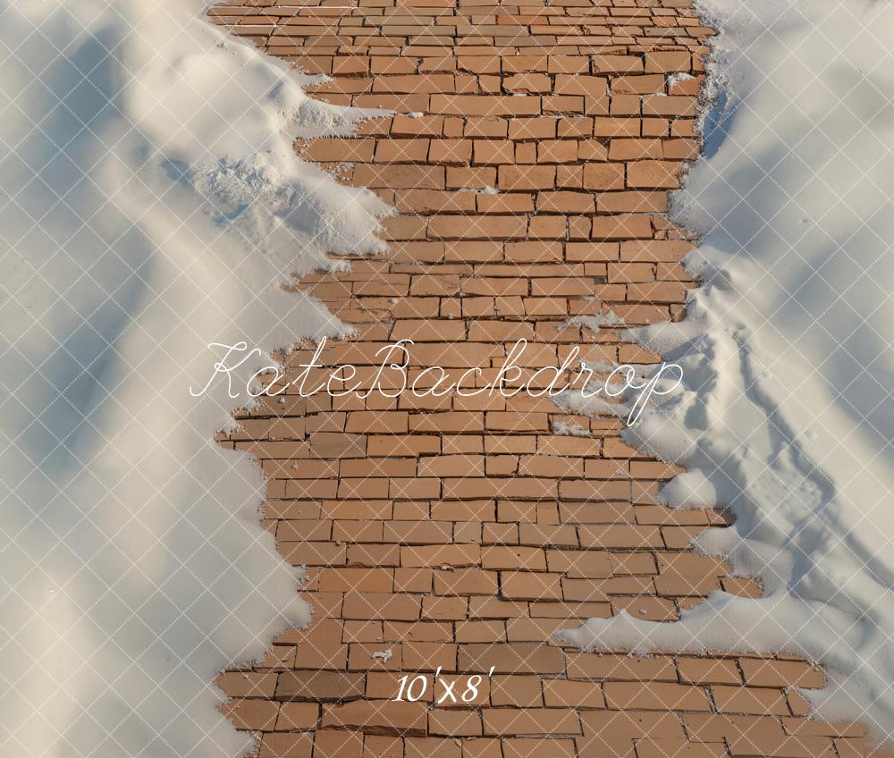 Kate Cobblestone Path Snow Fleece Backdrop Designed by Emetselch - Image 3