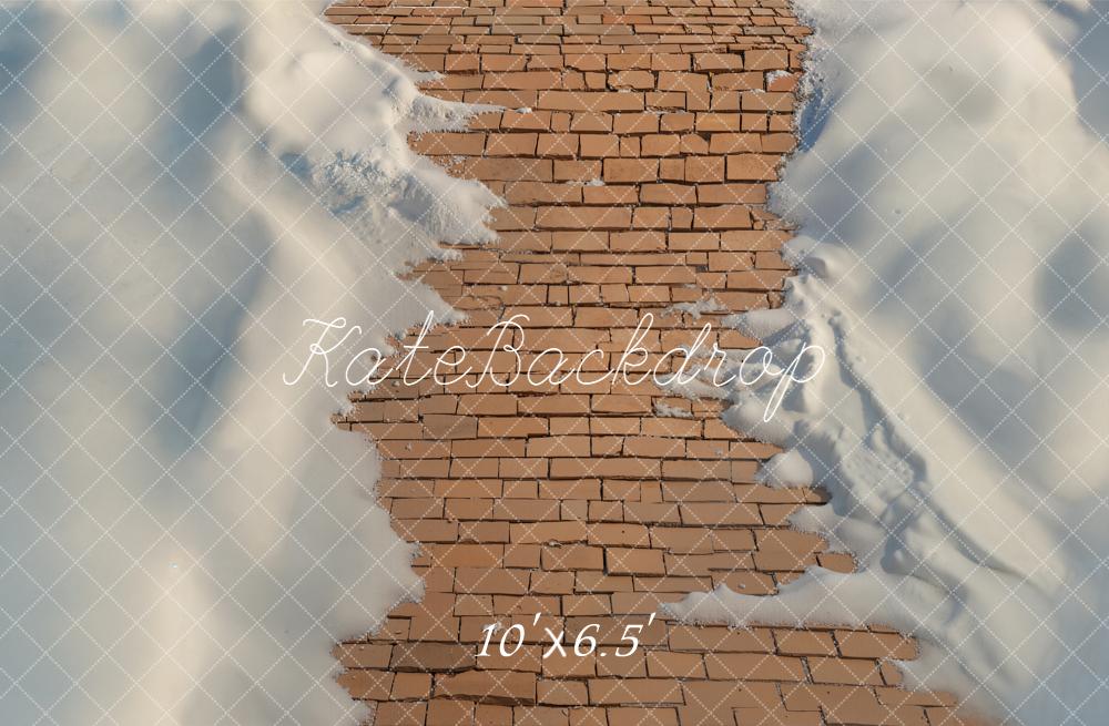 Kate Cobblestone Path Snow Floor Backdrop Designed by Emetselch - Image 4