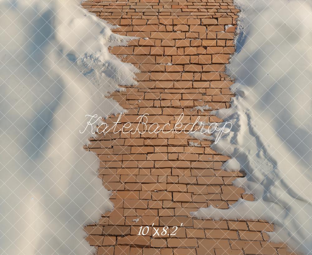 Kate Cobblestone Path Snow Floor Backdrop Designed by Emetselch - Image 6