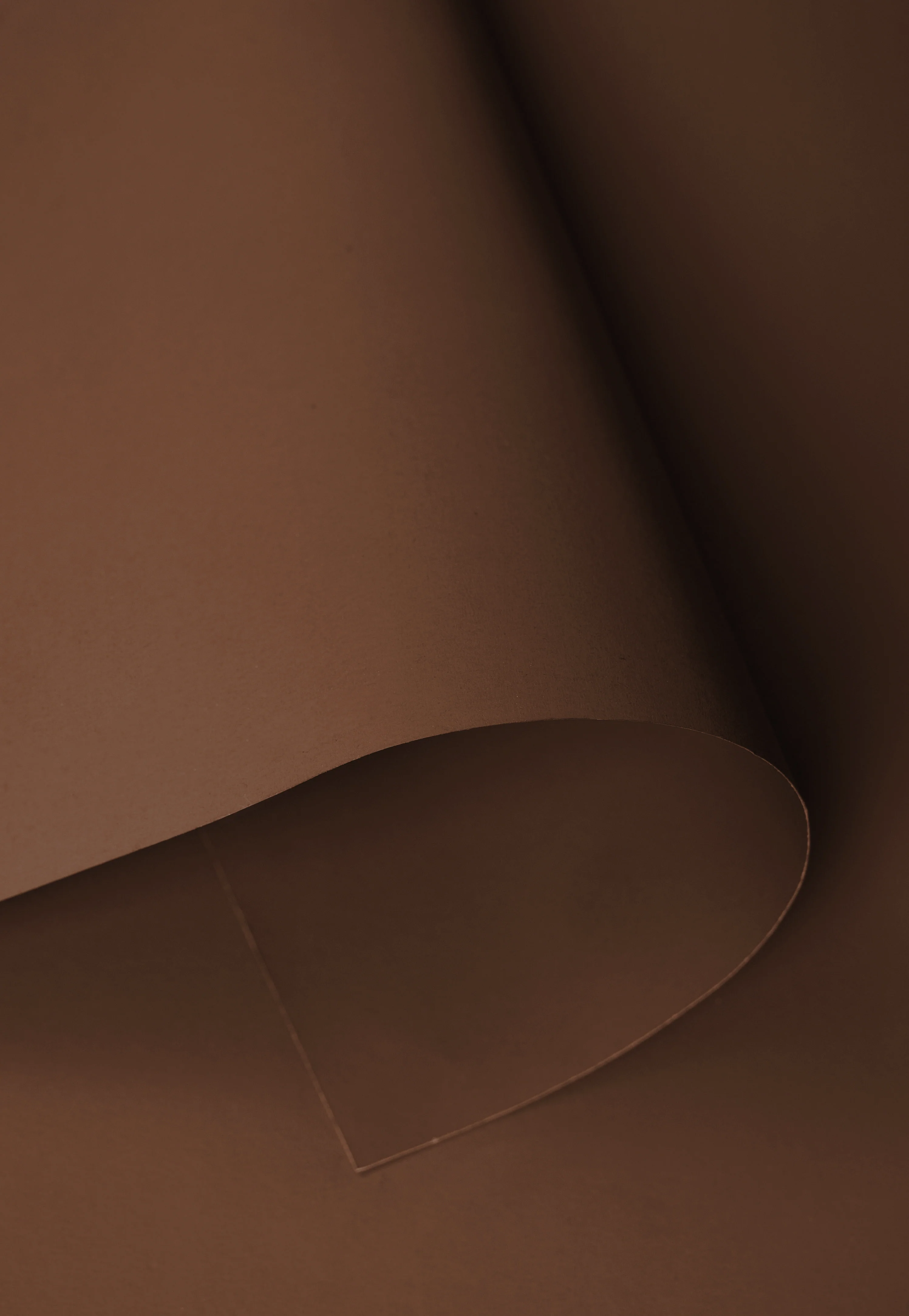 Kate Cocoa Brown Seamless Paper Backdrop for Photography - Image 6