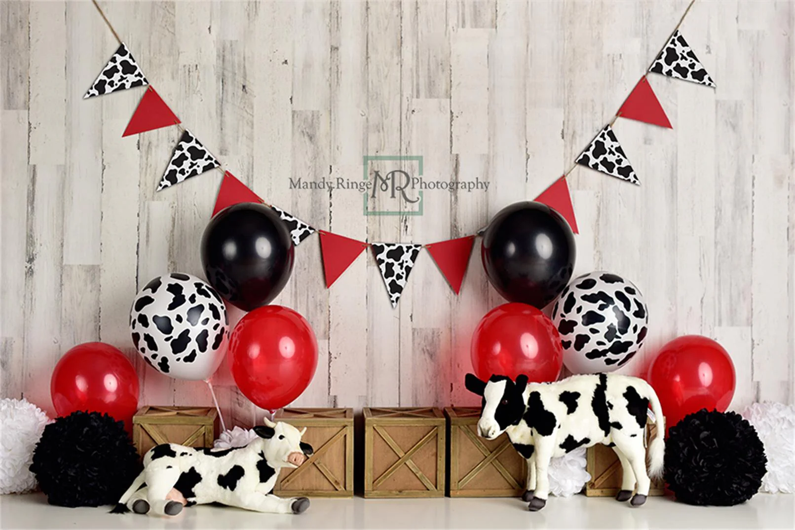 Kate Cow Birthday Children Backdrop Designed By Mandy Ringe Photography - Image 2