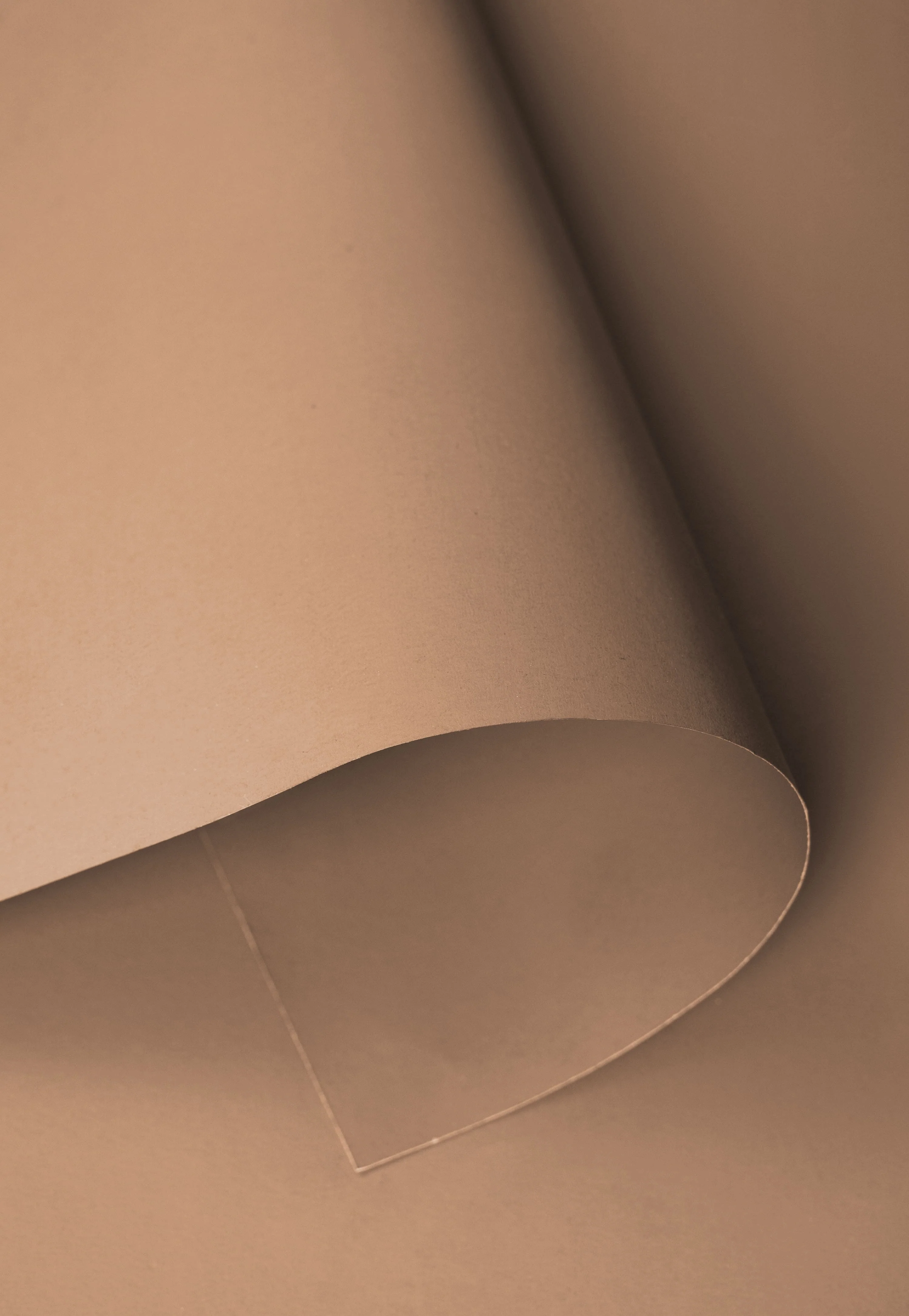 Kate Dark Beige Brown Seamless Paper Backdrop for Photography - Image 5