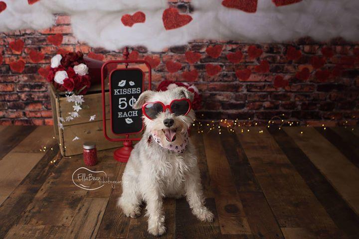 Kate Dark Brick with Red Hearts Valentine's Day Backdrop for Photography designed by Jerry_Sina - Image 5