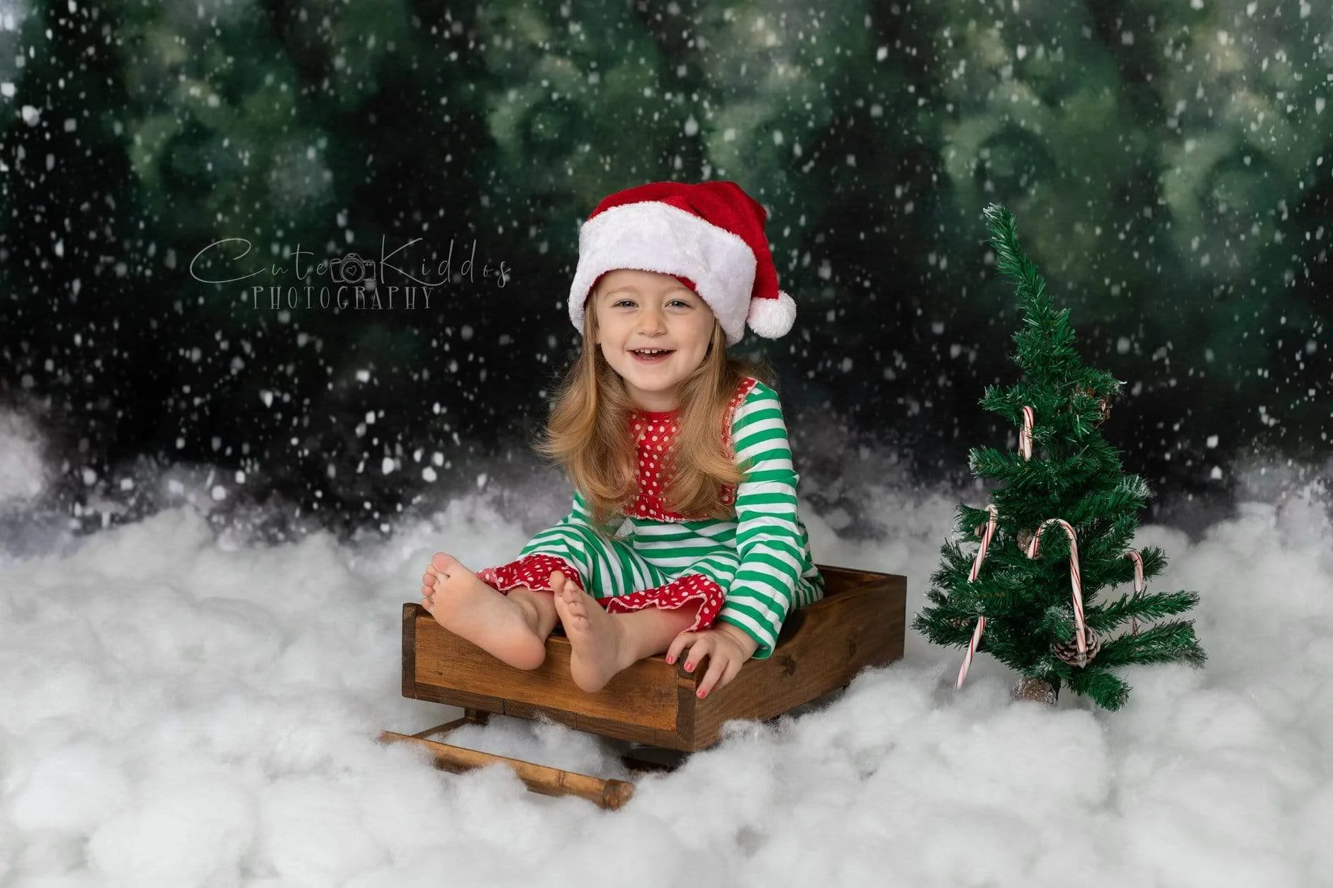 Kate Dazzling Winter Snowy Forest Backdrop for Photography Designed by Modest Brushes - Image 3